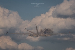 Snowbirds 1