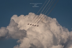 Snowbirds 2