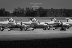 Snowbirds on ground