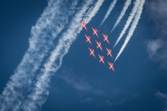 Snowbirds_