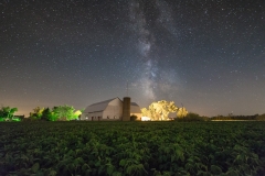 Field of Dreams