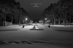 Gage Park Winter