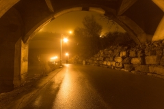 Fog Walker